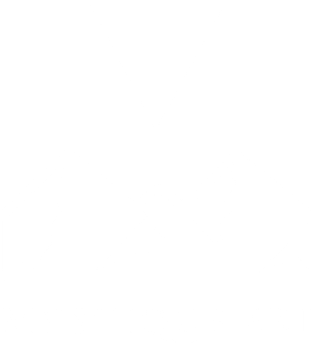 Mystique Ski Logo